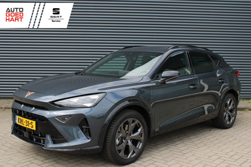 55373865-0.jpg